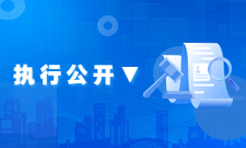 執行公開